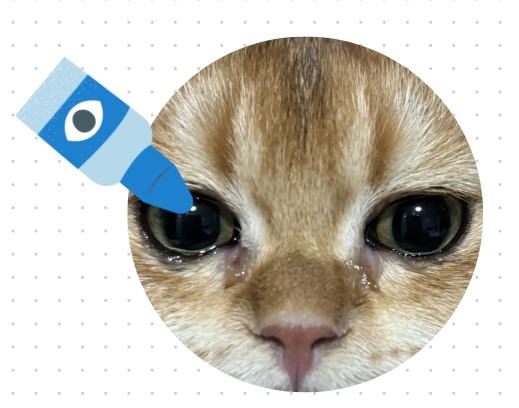猫咪眼睛流脓一样的眼屎睁不开用什么药?