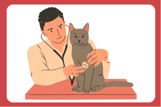 小猫尿不出来尿怎么治疗?