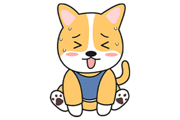 狗狗尿黄是什么原因?