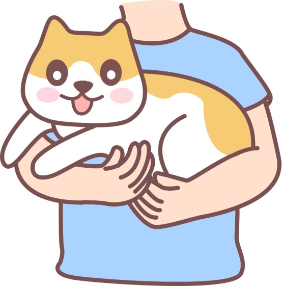 猫咪皮肤溃烂化脓怎么处理?