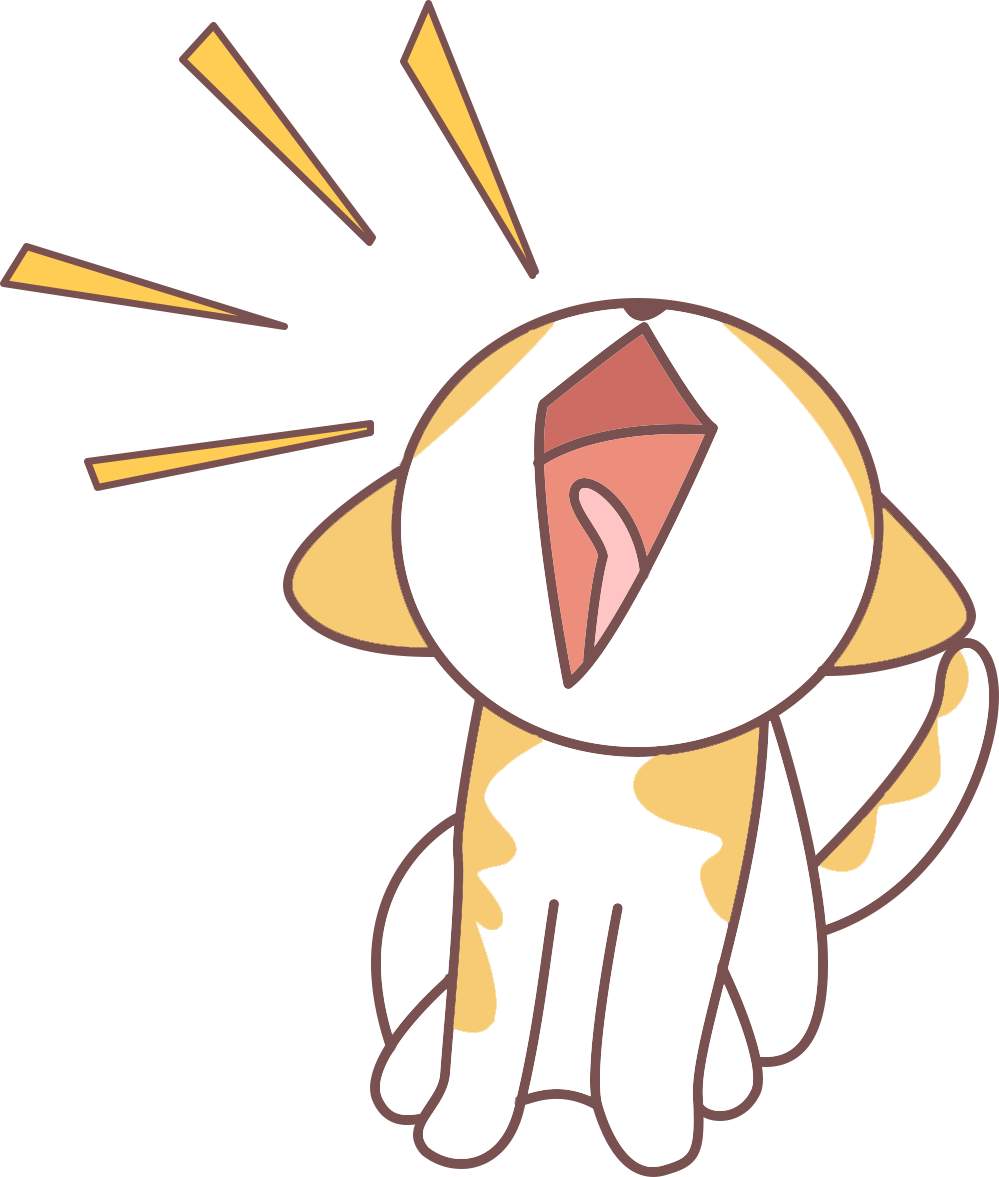 猫咪感染猫瘟怎么办?
