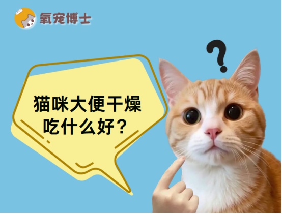 猫咪大便干燥怎么办？改善便秘的饮食调理方法