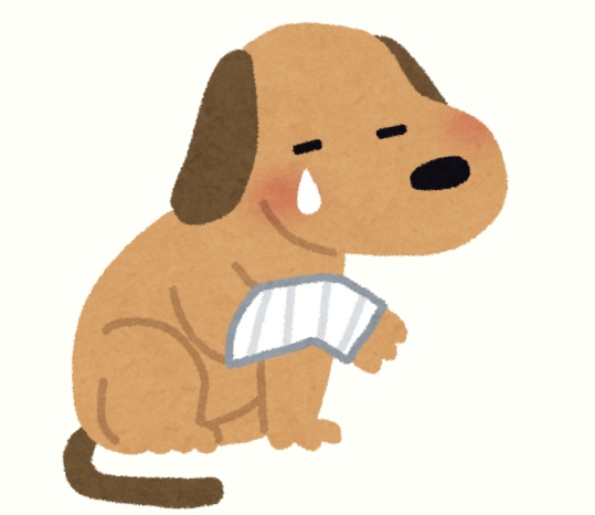 狗狗外伤用什么药?