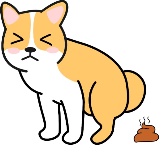 狗狗大便干硬怎么调理？