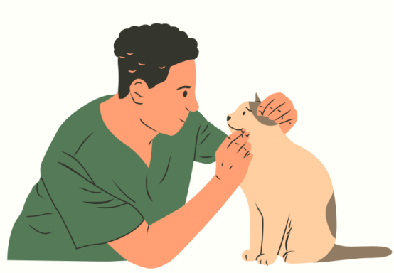 猫咪耳螨用什么药?
