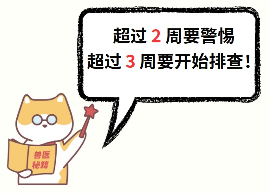 狗狗月经一般持续多久？