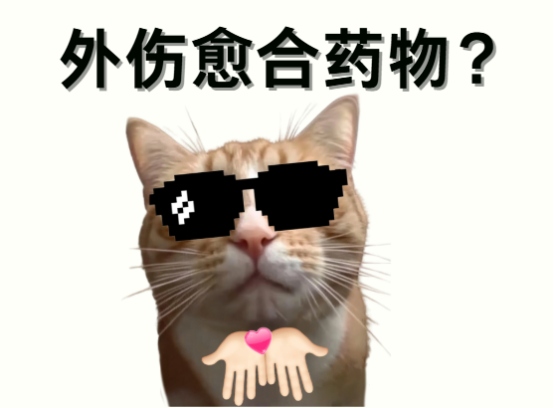 猫咪外伤用什么药?