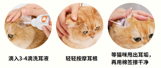 猫咪耳朵里有分泌物怎么办?