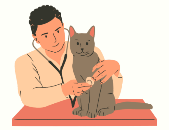 猫咪耳朵里脓状分泌物怎么治疗?
