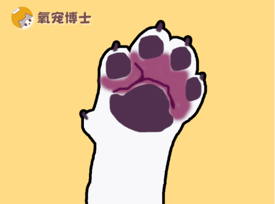 狗狗脚趾炎治疗方法详解，告别趾间炎症困扰