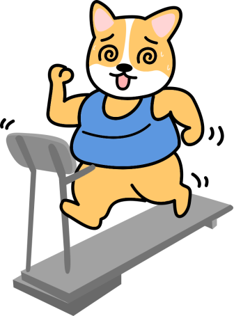 狗狗生理期怎么照顾