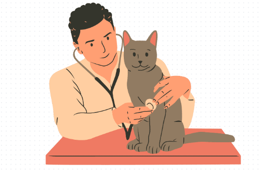 母猫生完小猫后出血怎么办