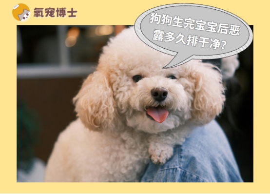 狗狗产后恶露多久干净正常，颜色变化判断方法详解