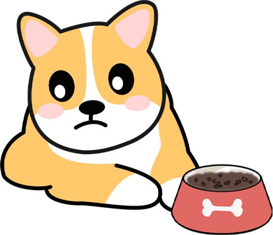 狗狗分娩当天的表现