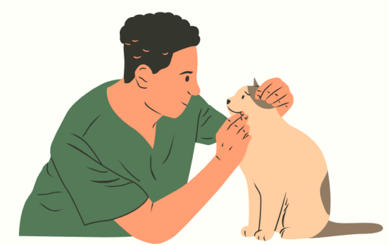 猫咪眼睛流泪有点睁不开是怎么回事?