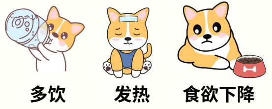 怎么判断狗狗子宫蓄脓?