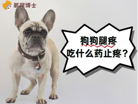 狗狗腿疼吃什么药止疼?