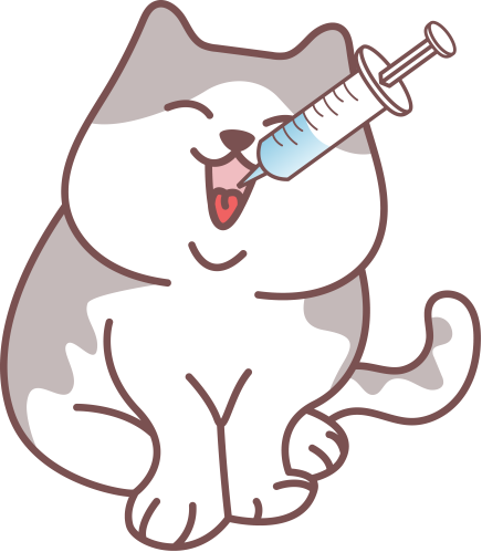 猫咪伤口流脓吃什么药?