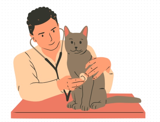 猫咪打喷嚏怎么回事?