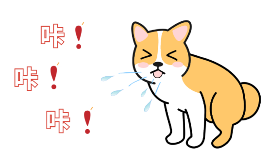 幼犬感冒了怎么办?
