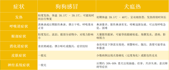 狗狗感冒与犬瘟热的区别