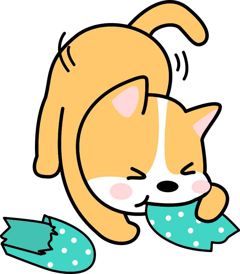 狗狗吃了异物拉稀怎么办?