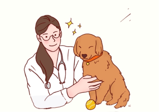 狗狗拉稀怎么办?