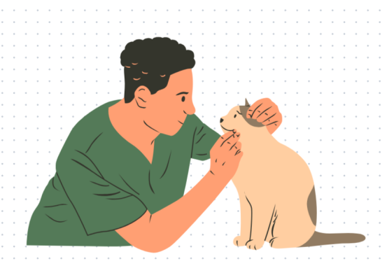猫咪吐黄水吃什么药?