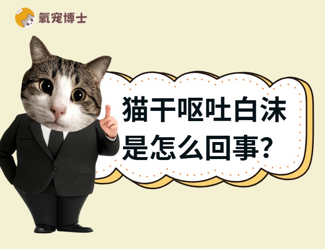 猫干呕一抽一抽的吐白沫