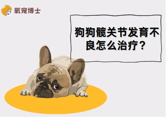 狗狗髋关节发育不良：如何选择最佳治疗方案？