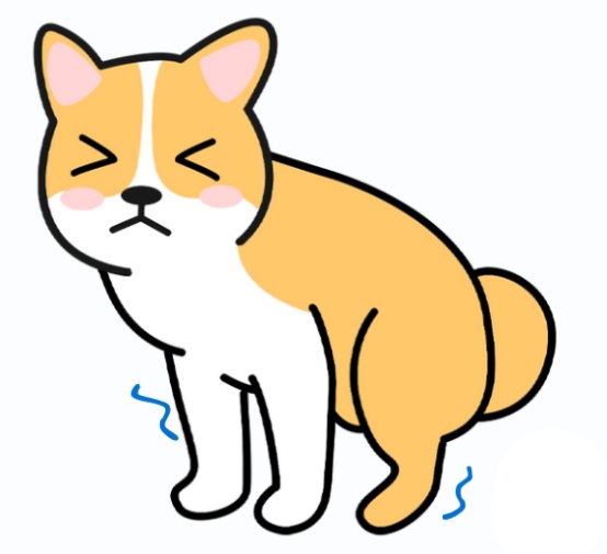 狗狗关节炎的症状