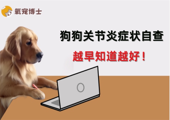 狗狗关节炎的9个典型症状，越早知道越好！