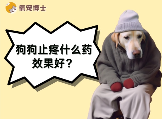 狗狗止疼用什么药效果好？答案都在这里！