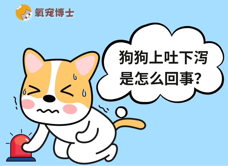 狗狗上吐下泻是怎么回事？5大原因+6个致命信号