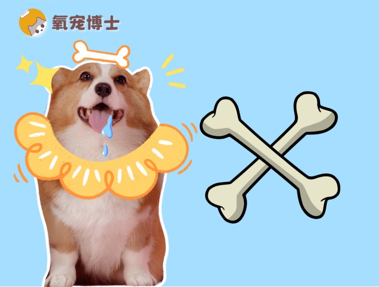 狗狗吃骨头不消化呕吐怎么办？急救方法全解析