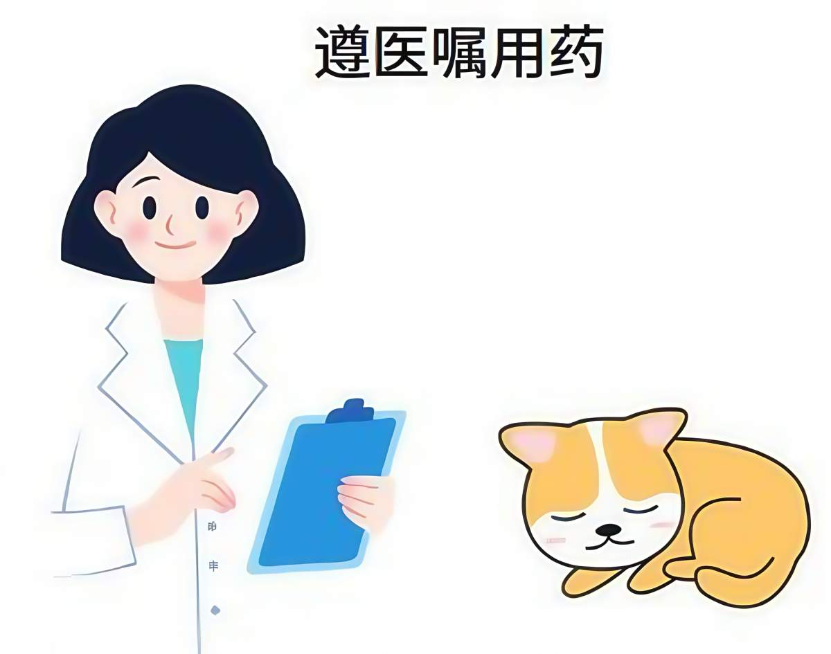 母狗产后吃什么好下奶?