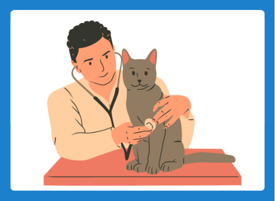 猫咪尿路感染怎么办?