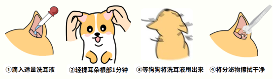 狗耳朵很臭怎么办?