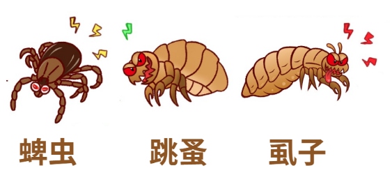 狗狗身上痒用什么药好