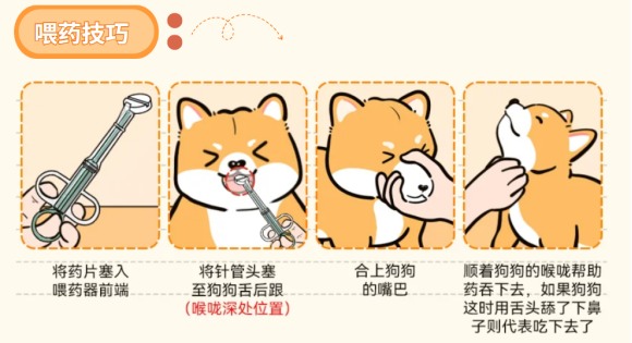 狗狗体内驱虫药怎么喂