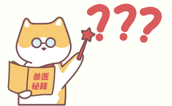 狗狗体内驱虫药