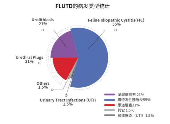 猫拉尿有血的常见原因
