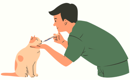 猫咪尿频尿少吃什么药?