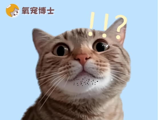 猫咪下巴的黑色渣子是什么?