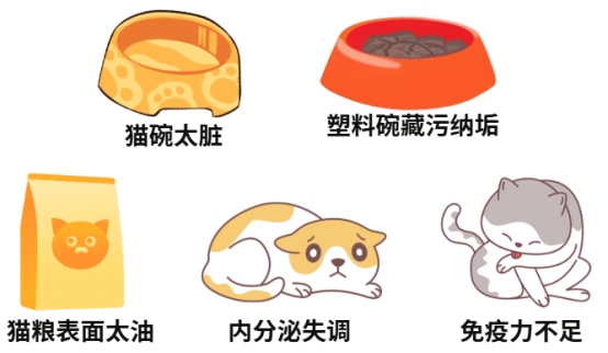 猫咪下巴的黑色渣子怎么办