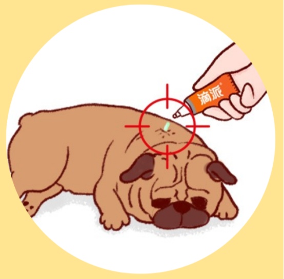 小狗身上痒用什么药效果好