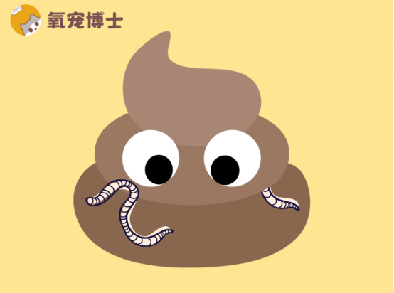 猫咪拉出白色蠕动小虫怎么办？寄生虫感染识别与科学驱虫指南