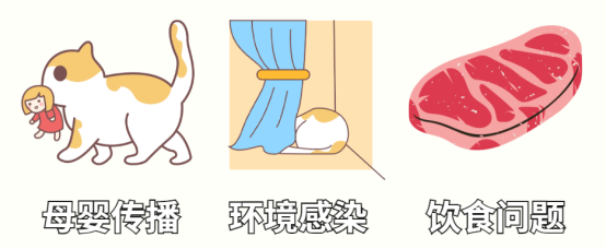 猫咪体内驱虫