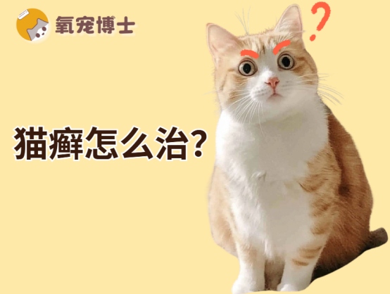 猫癣治疗方法全攻略：药物治疗环境消毒营养支持三步走
