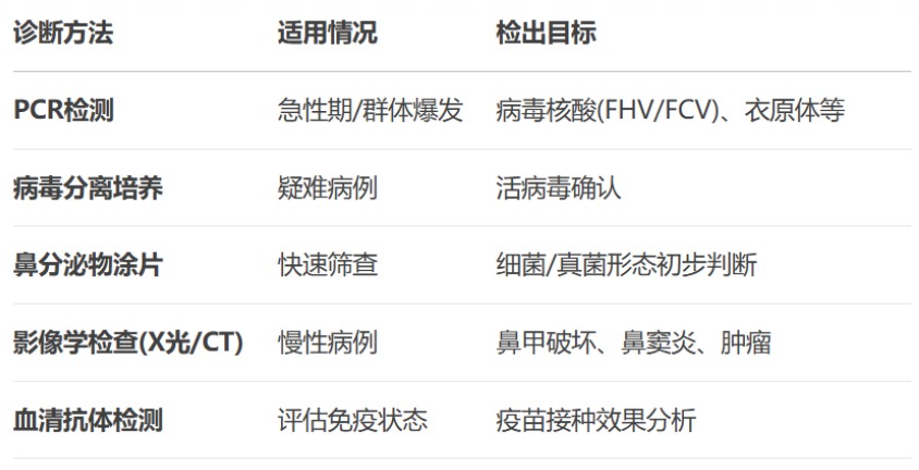 猫咪打喷嚏流鼻涕